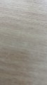 ImportedPhoto.742816836.82195.jpeg