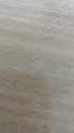 ImportedPhoto.742816836.858714.jpeg